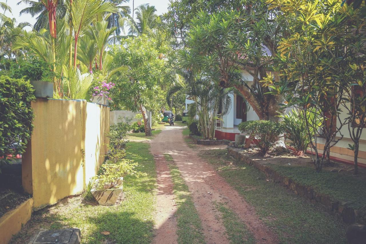 Hikka Surf Hostel Hikkaduwa Zewnętrze zdjęcie